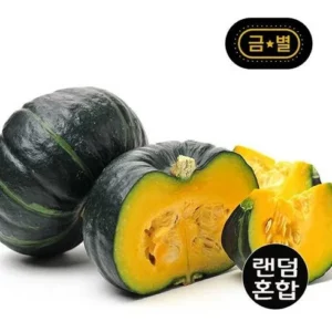 당신이 찾던 제주 미니 밤호박 8kg 바로 확인하세요!